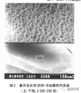 MBR在净水工艺中的膜污染特征及清洗